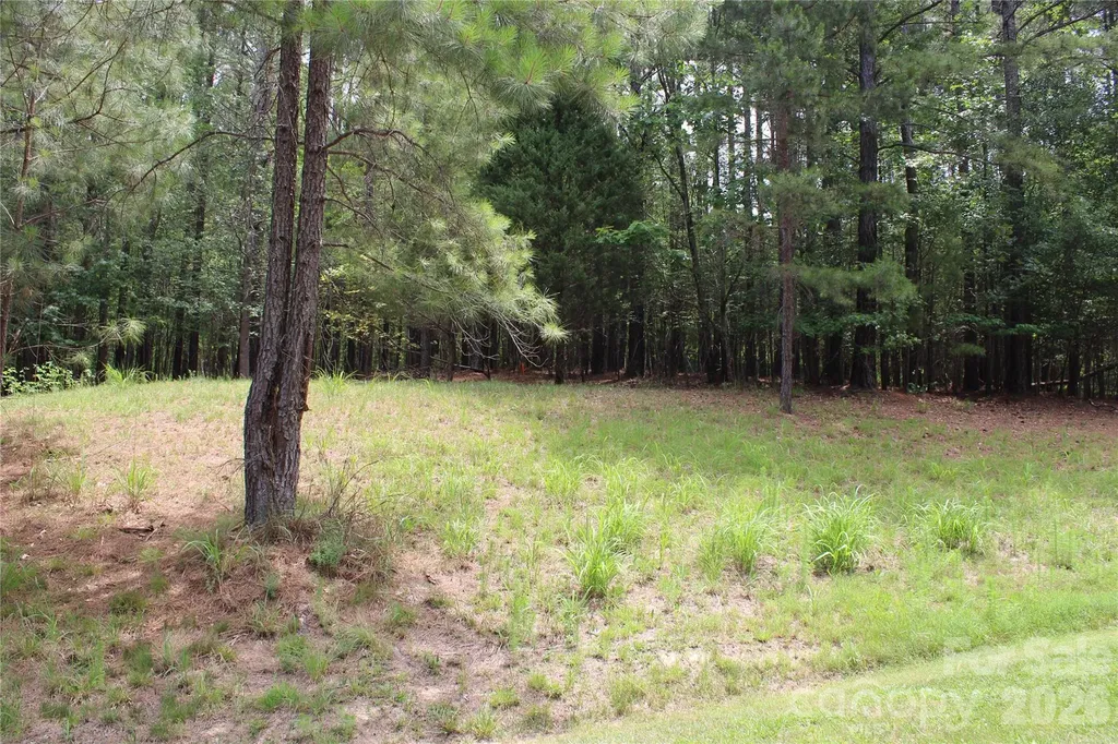 118 Water Oak Way Mount Gilead NC 27306