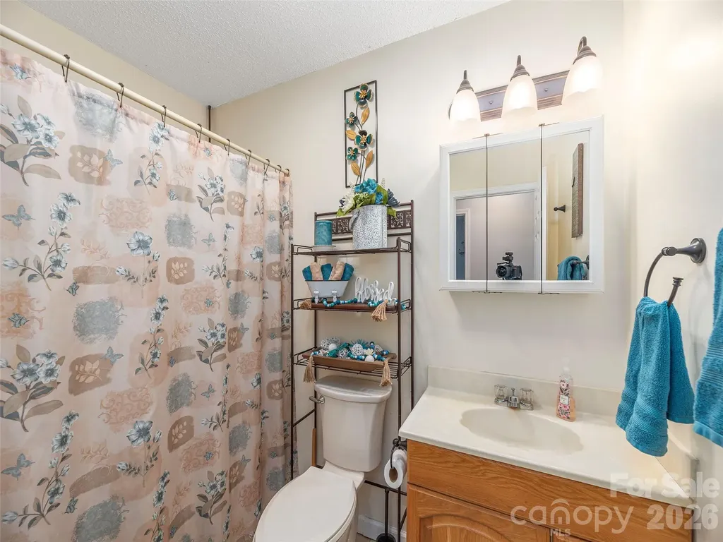 219 Hookers Gap Road Candler NC 28715