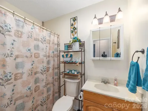 219 Hookers Gap Road Candler NC 28715