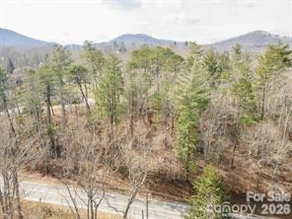 Tbd Ball Gap Road Arden NC 28704