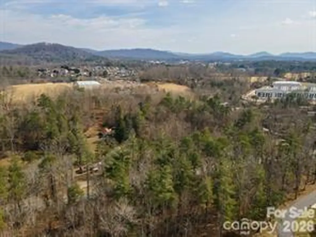 Tbd Ball Gap Road Arden NC 28704