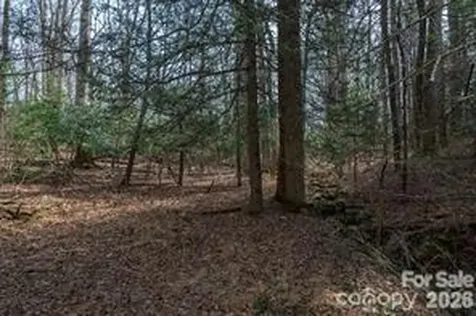 Tbd Ball Gap Road Arden NC 28704