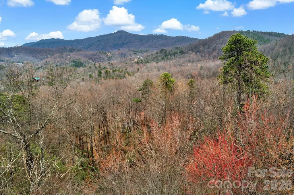 230 Catawba Falls Parkway Black Mountain NC 28711