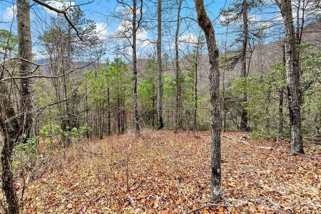 230 Catawba Falls Parkway Black Mountain NC 28711