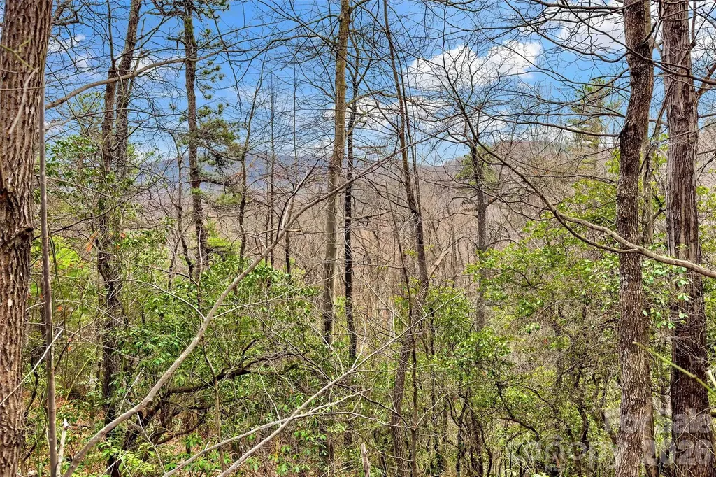 230 Catawba Falls Parkway Black Mountain NC 28711