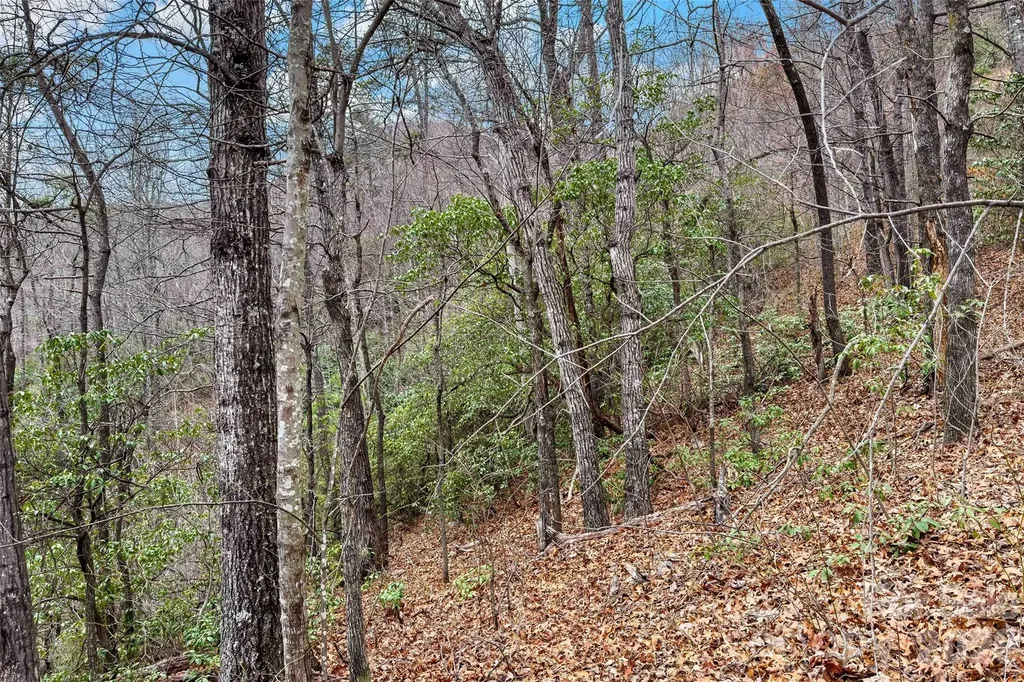 230 Catawba Falls Parkway Black Mountain NC 28711