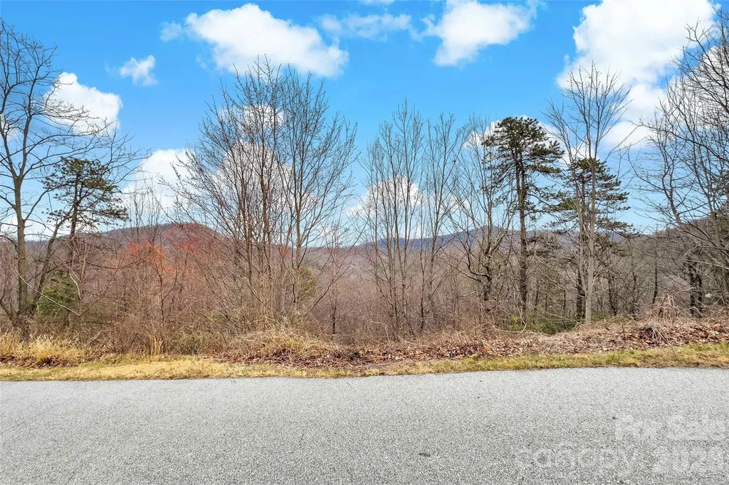 230 Catawba Falls Parkway Black Mountain NC 28711