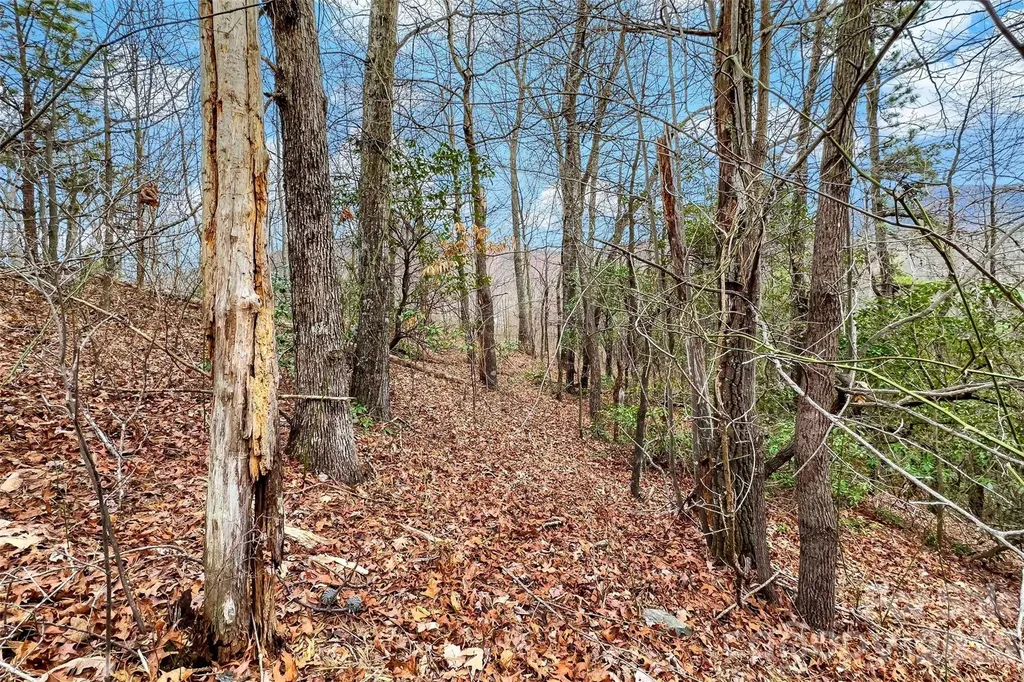 230 Catawba Falls Parkway Black Mountain NC 28711