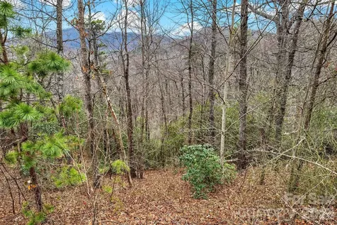 230 Catawba Falls Parkway Black Mountain NC 28711