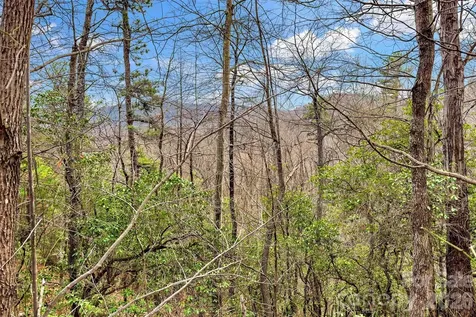 230 Catawba Falls Parkway Black Mountain NC 28711