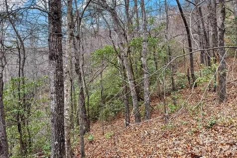 230 Catawba Falls Parkway Black Mountain NC 28711
