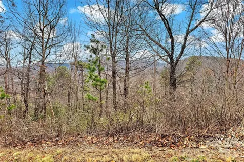 230 Catawba Falls Parkway Black Mountain NC 28711
