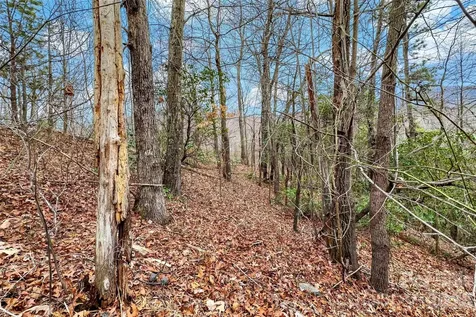 230 Catawba Falls Parkway Black Mountain NC 28711
