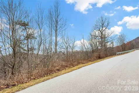 230 Catawba Falls Parkway Black Mountain NC 28711