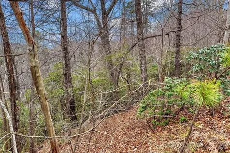 230 Catawba Falls Parkway Black Mountain NC 28711