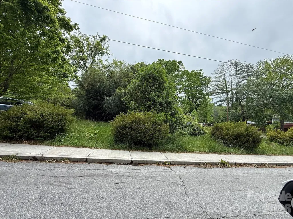 15 Jenkins Row Brevard NC 28712