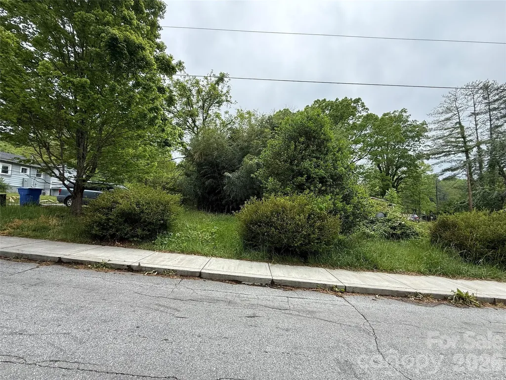 15 Jenkins Row Brevard NC 28712