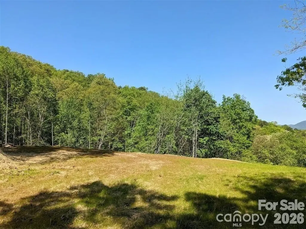 171 Nuthatch Lane Black Mountain NC 28711
