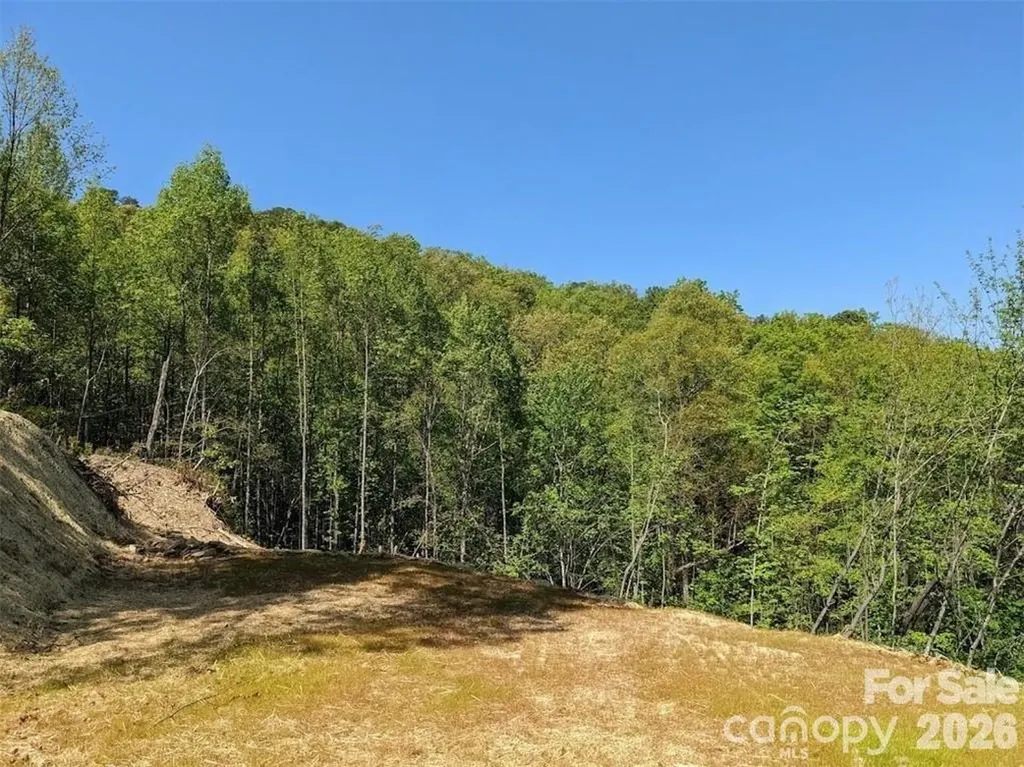 171 Nuthatch Lane Black Mountain NC 28711