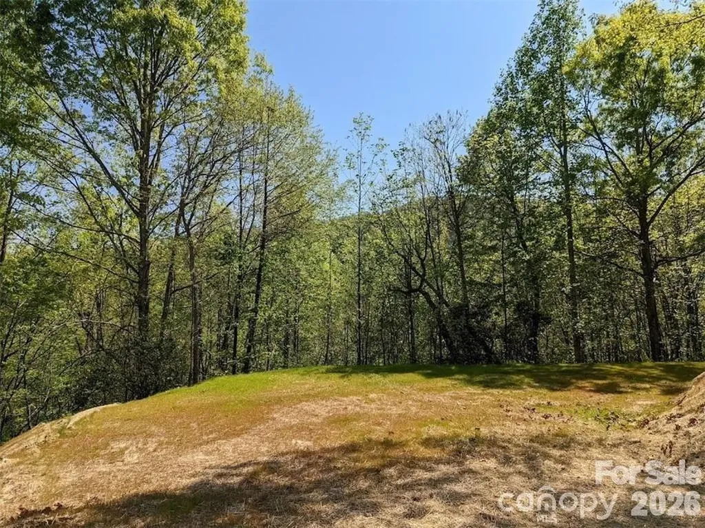 171 Nuthatch Lane Black Mountain NC 28711