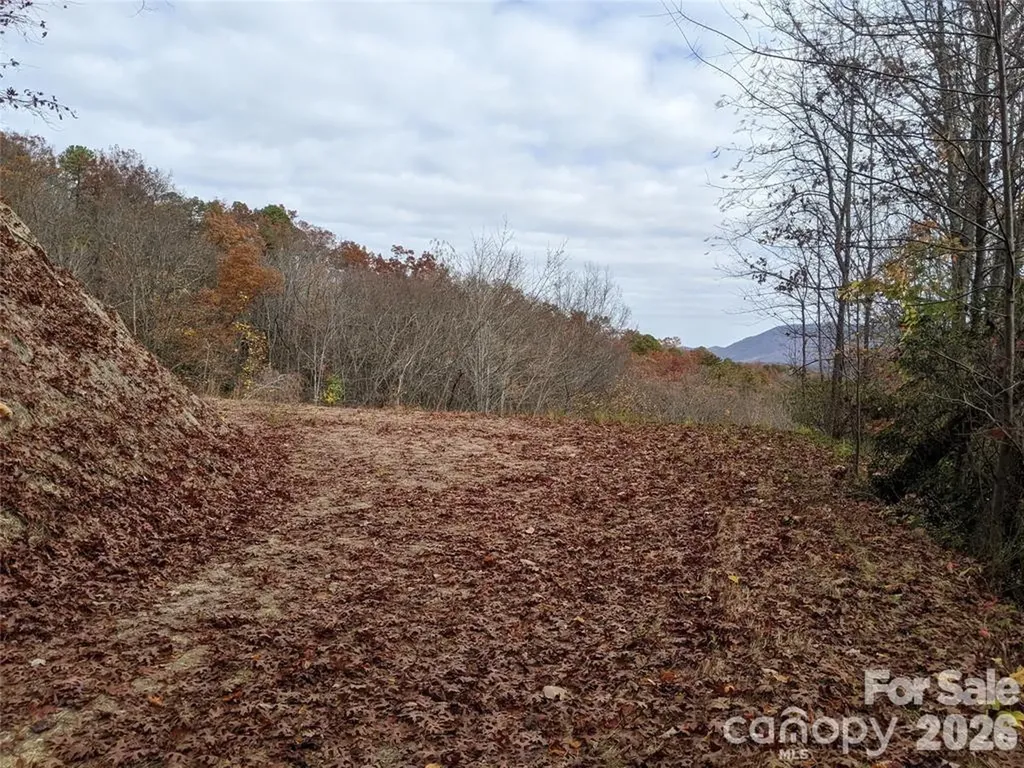 171 Nuthatch Lane Black Mountain NC 28711