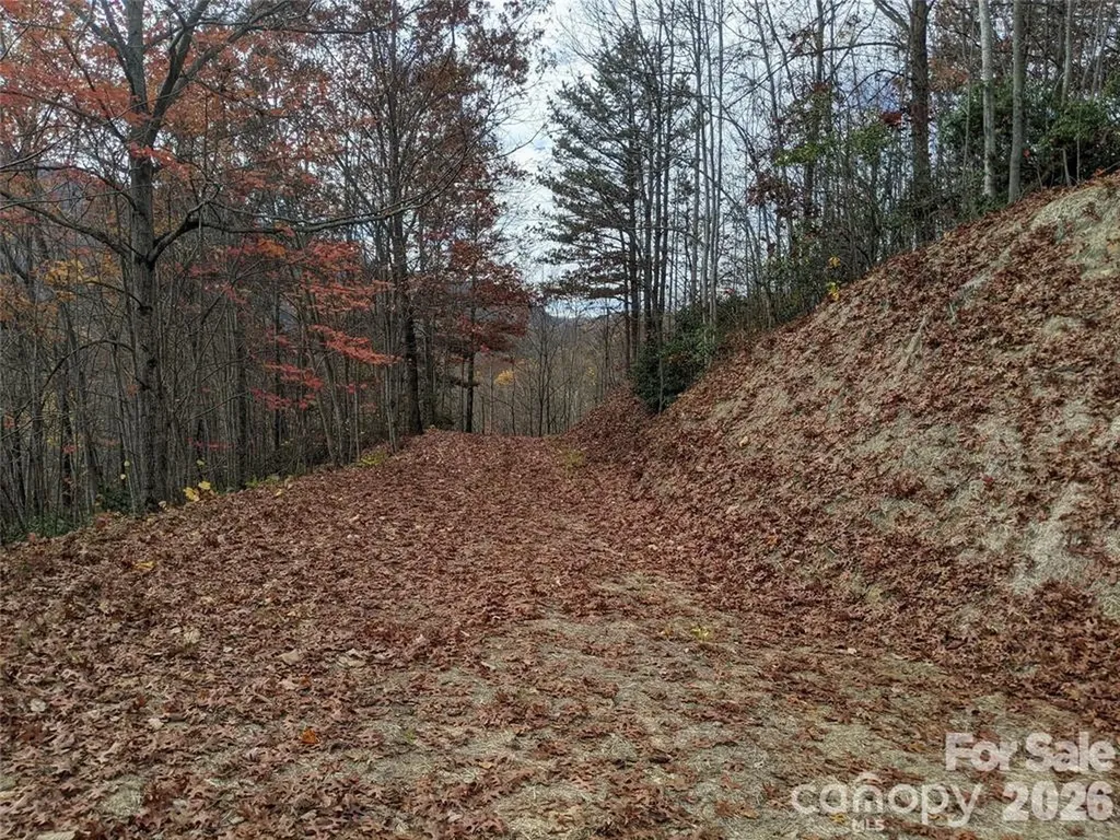 171 Nuthatch Lane Black Mountain NC 28711