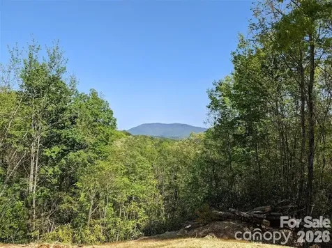 171 Nuthatch Lane Black Mountain NC 28711