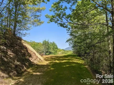 171 Nuthatch Lane Black Mountain NC 28711