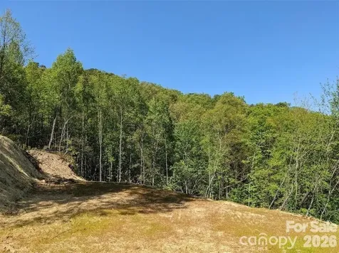 171 Nuthatch Lane Black Mountain NC 28711