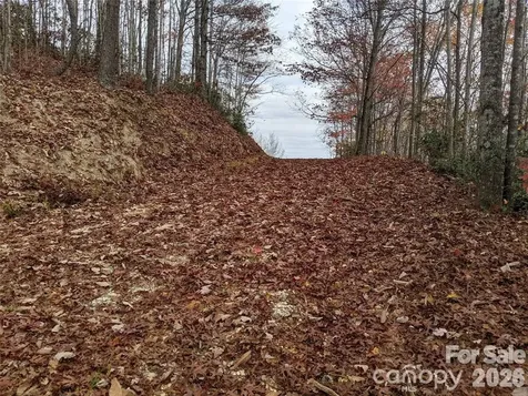 171 Nuthatch Lane Black Mountain NC 28711