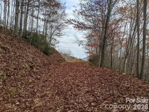 171 Nuthatch Lane Black Mountain NC 28711