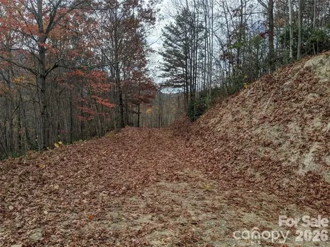 171 Nuthatch Lane Black Mountain NC 28711