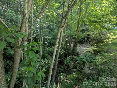 46 Settings Boulevard Black Mountain NC 28711