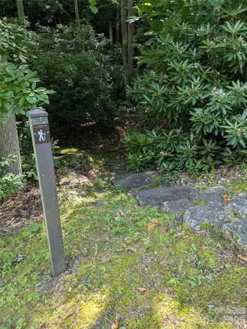 46 Settings Boulevard Black Mountain NC 28711