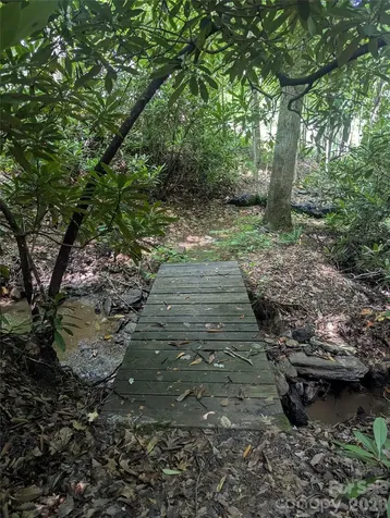46 Settings Boulevard Black Mountain NC 28711