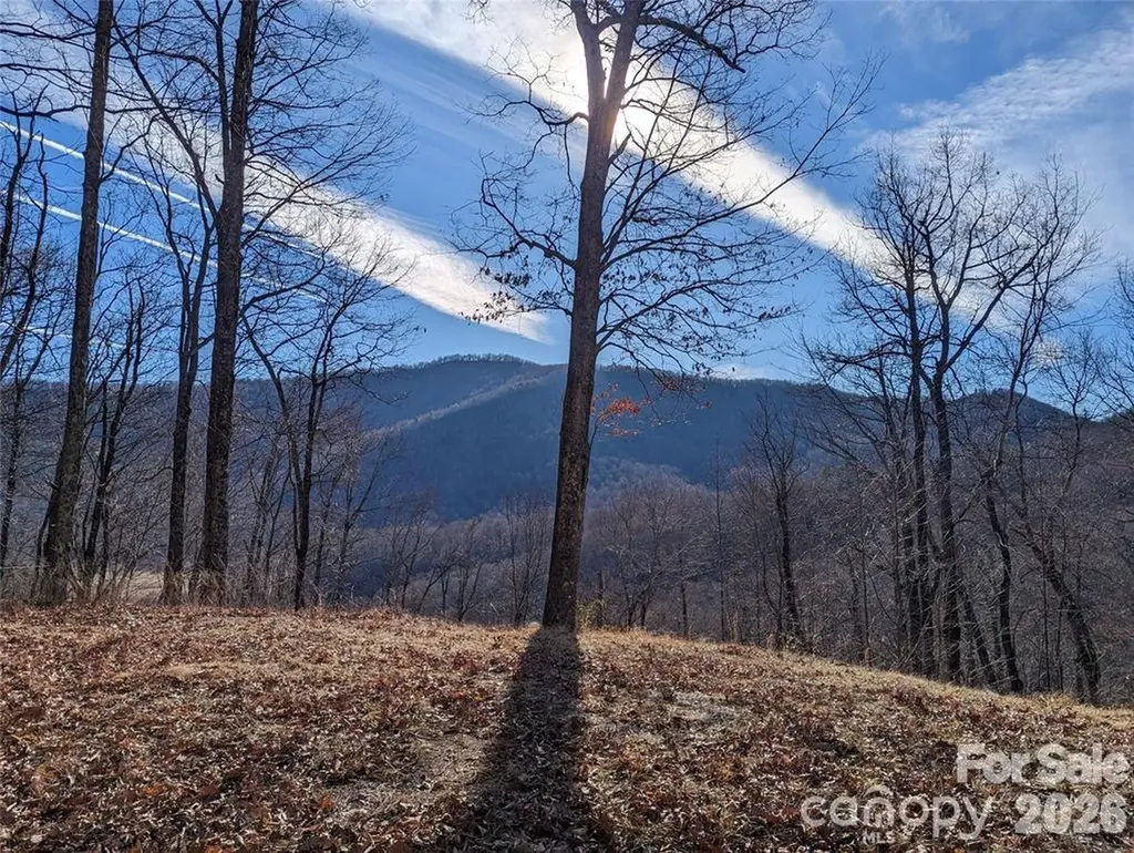 367 Kestrel Lane Black Mountain NC 28711