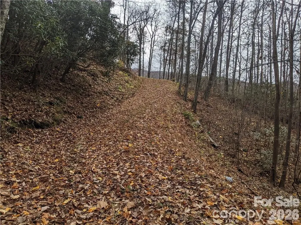 367 Kestrel Lane Black Mountain NC 28711