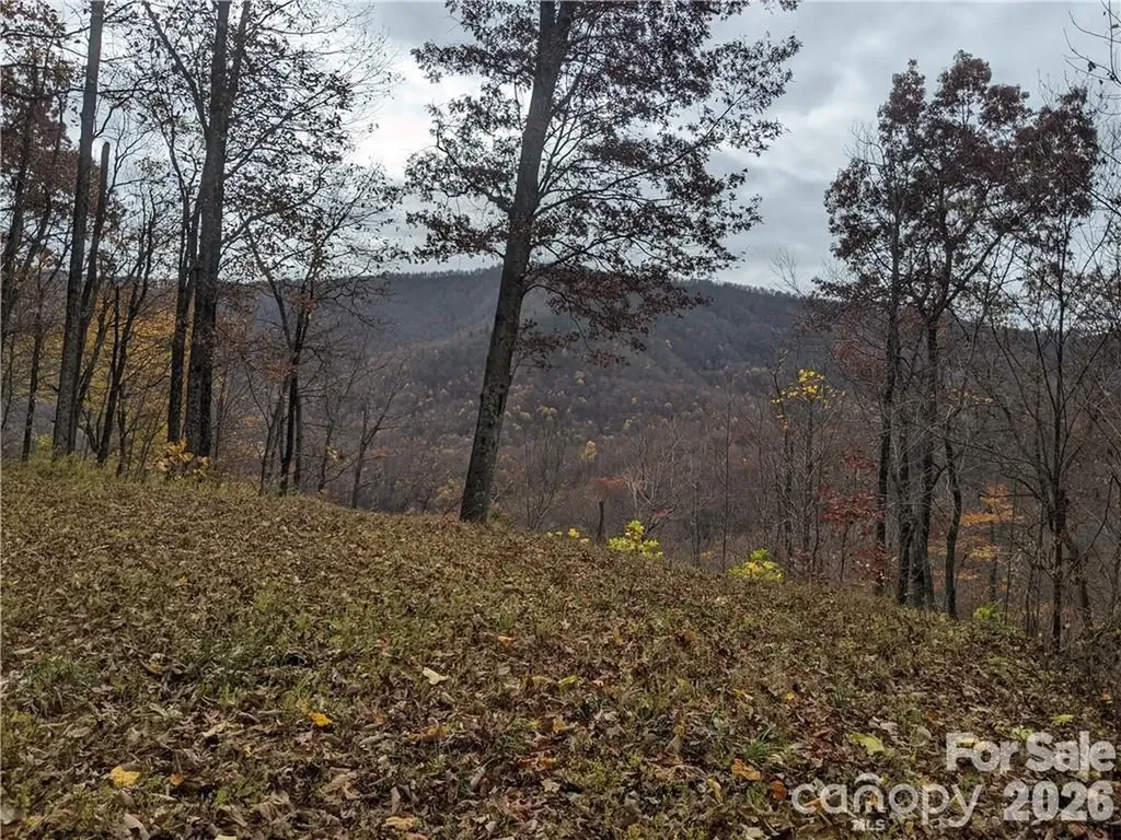 367 Kestrel Lane Black Mountain NC 28711