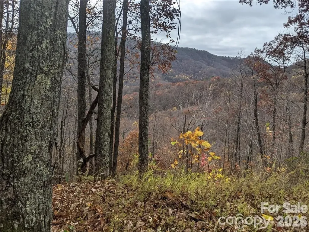 367 Kestrel Lane Black Mountain NC 28711