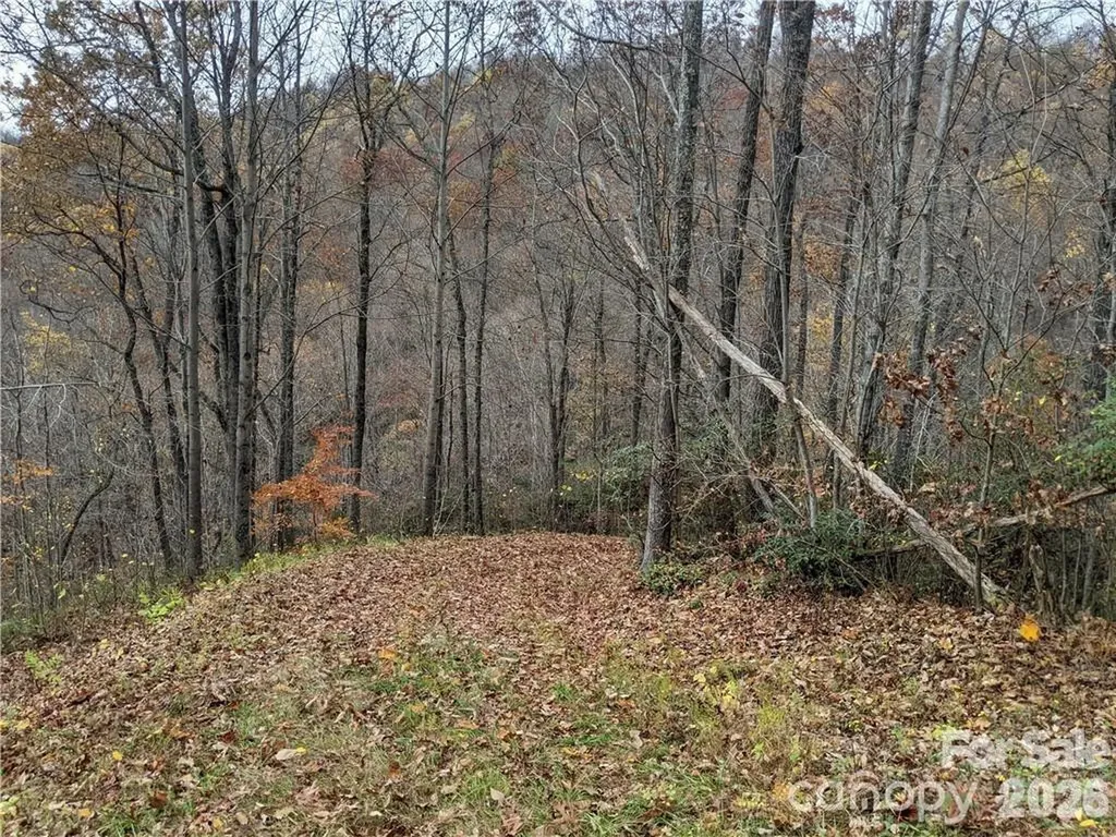 367 Kestrel Lane Black Mountain NC 28711