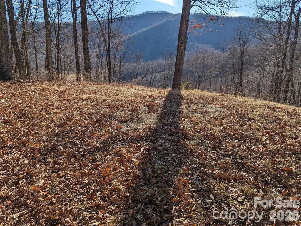 367 Kestrel Lane Black Mountain NC 28711