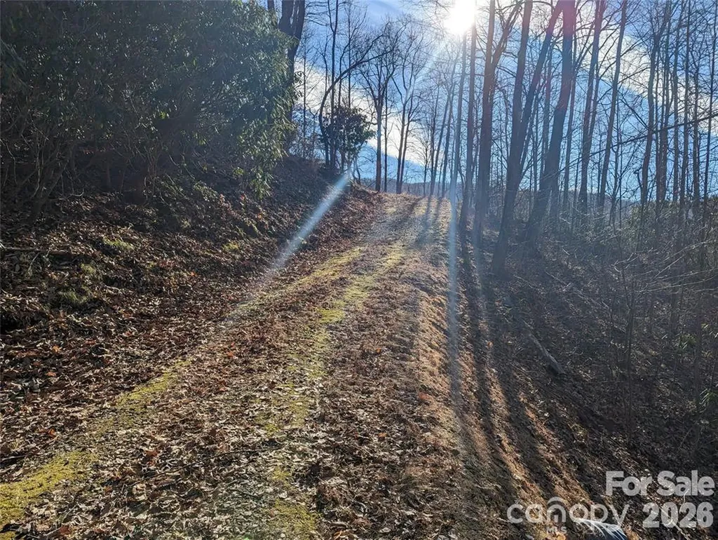 367 Kestrel Lane Black Mountain NC 28711