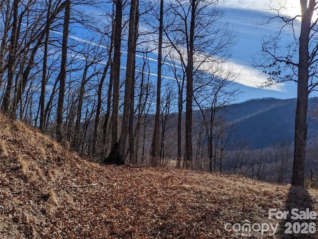 367 Kestrel Lane Black Mountain NC 28711