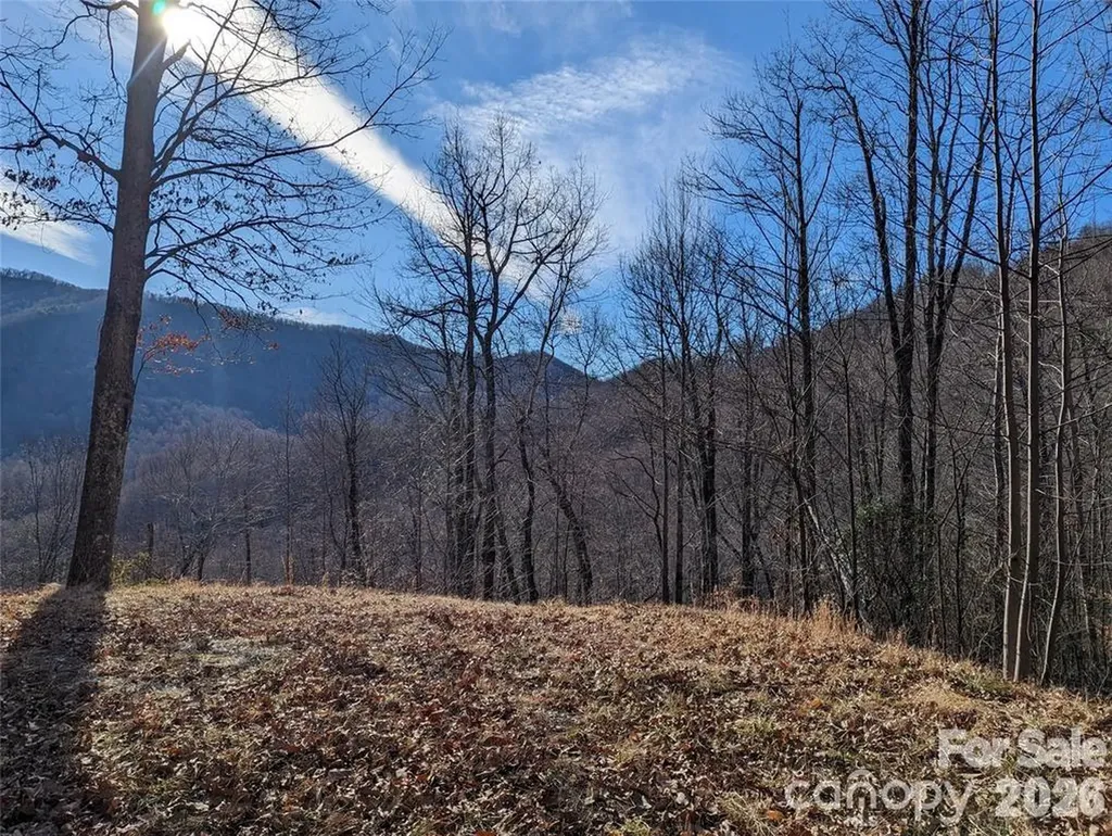 367 Kestrel Lane Black Mountain NC 28711