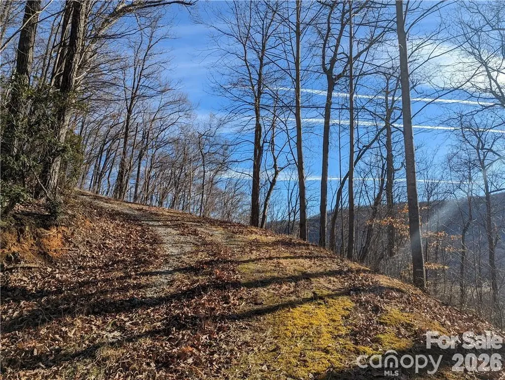 367 Kestrel Lane Black Mountain NC 28711