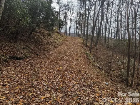 367 Kestrel Lane Black Mountain NC 28711
