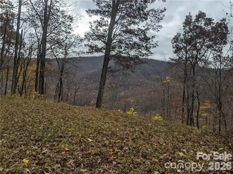 367 Kestrel Lane Black Mountain NC 28711
