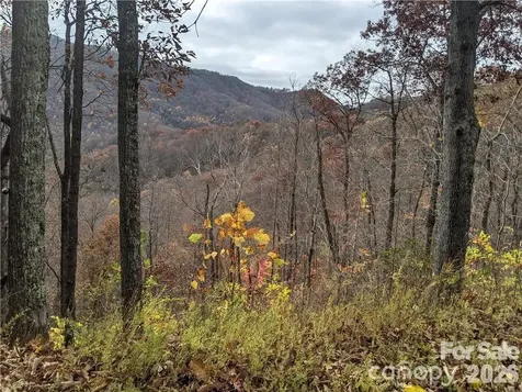 367 Kestrel Lane Black Mountain NC 28711