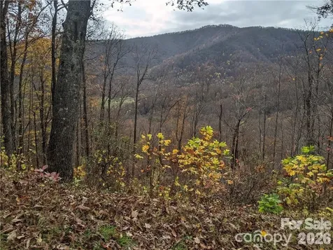 367 Kestrel Lane Black Mountain NC 28711