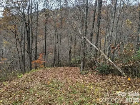 367 Kestrel Lane Black Mountain NC 28711
